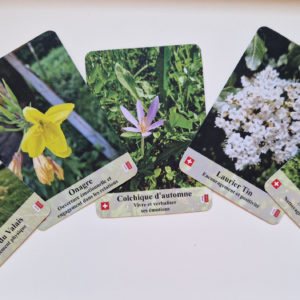 Jeu-de-cartes-élixirs_floraux.du-valais